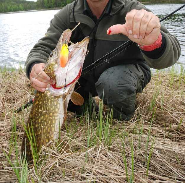 Как определить клев и реагировать на поклевку