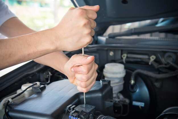 Инструменты и материалы, необходимые для работы