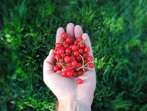 Проверка системы зажигания