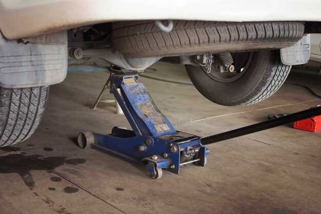 Рассматриваем максимальную грузоподъемность и высоту подъема