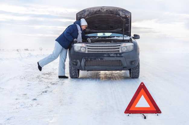 Методы самостоятельной проверки и диагностики ошибок через OBD-II