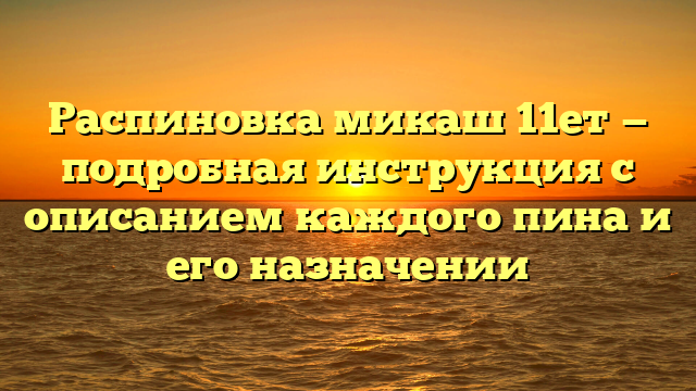 Распиновка микаш 11ет — подробная инструкция с описанием каждого пина и его назначении